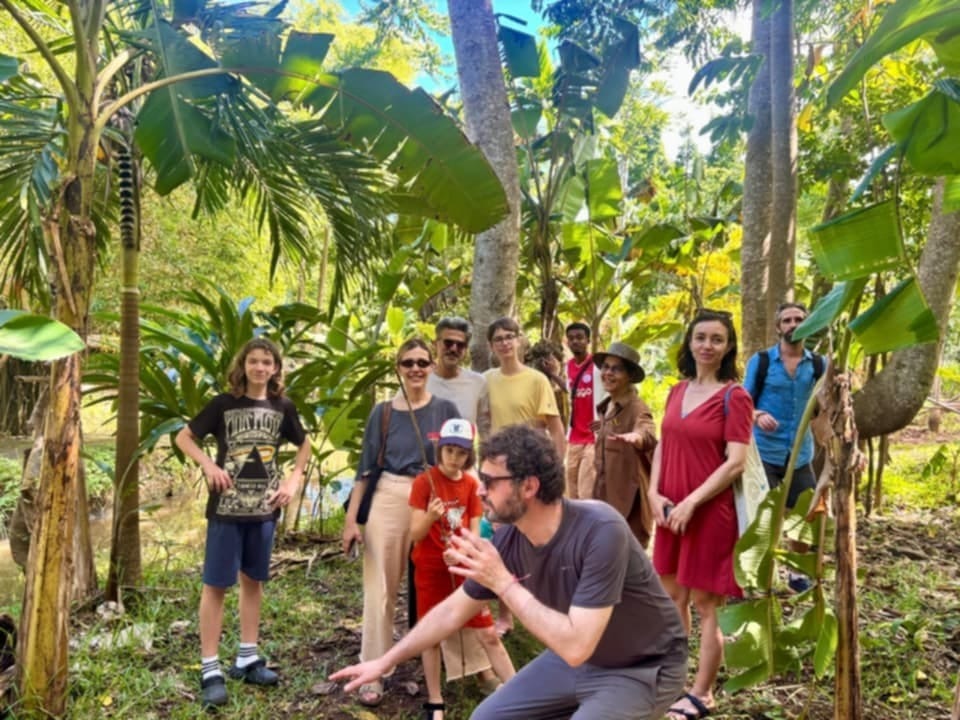 Forest walk with a guide